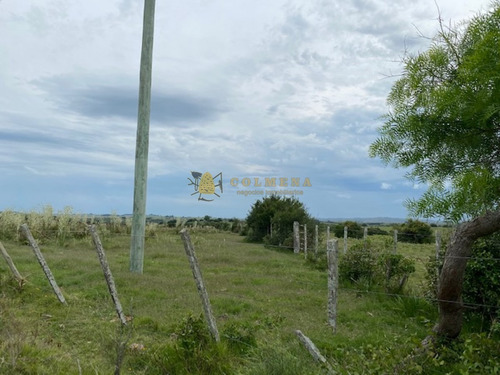 Campo En Garzon - Ideal Para Uso De Descanso - Consulte!!!!- Ref: 3606