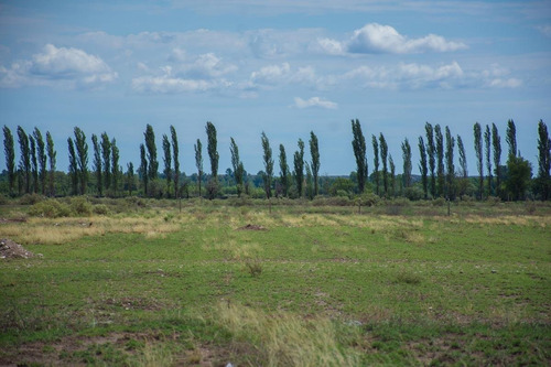 Imagen 4 de 6 de Lote 2.000 M En Venta San Rafael Mendoza
