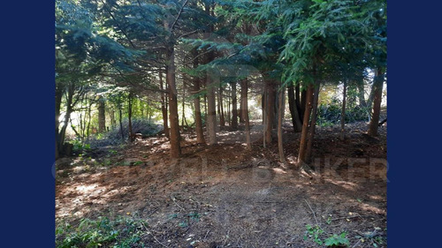 Imagen 6 de 17 de Venta Lote/terreno 1500m2 Selva Triste, Villa La Angostura