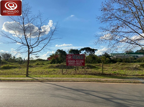 Imagem 3 de 4 de Terreno Para Venda - 00036.011