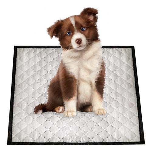 Tapete Entrenamiento Lavable Mascota Reutilizable Doble Faz 