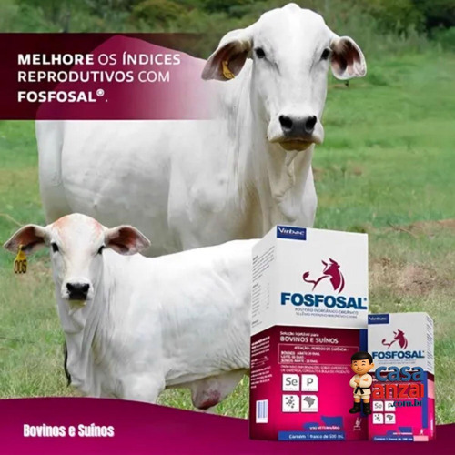 Kit Com 4 Virbac Fosfosal 100 Ml