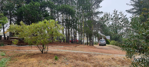 Casa En Venta En Algarrobo