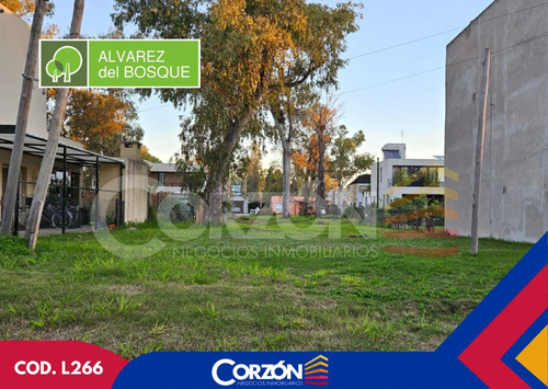 Venta De Lote Interno En Álvarez Del Bosque