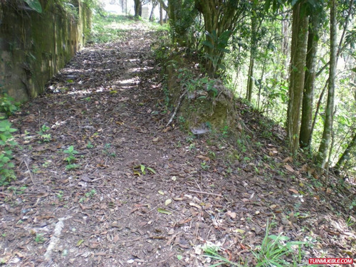 Imagen 3 de 12 de Venta De Terreno En San Jose De Los Altos Edo Miranda Rzxx