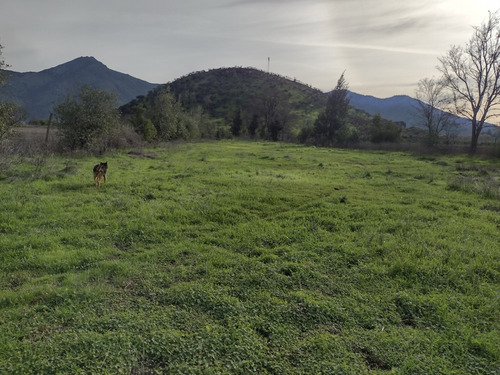 Terreno De 4 Ha Con Luz ,despejado, Excelente Ubicaci