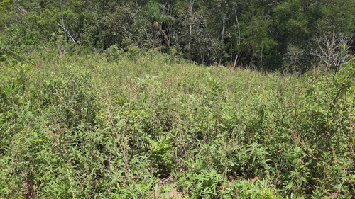 (k.a) Corra Antes Que Acabe - 1.000m2 Confira Lotes Fechados