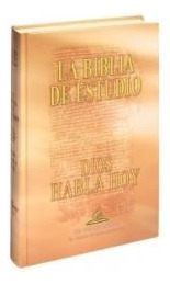 La Biblia De Estudios T/d* - Raymundo Damasceno Assis