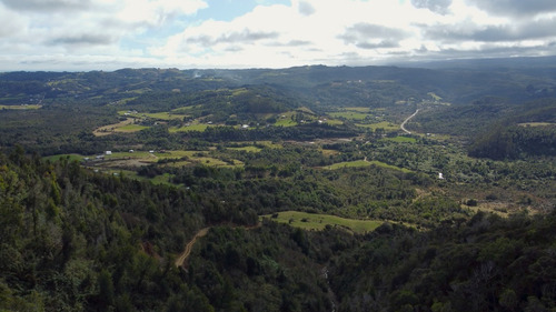 Imagen 2 de 22 de Campo De 42ha Estaquilla - Los Muermos