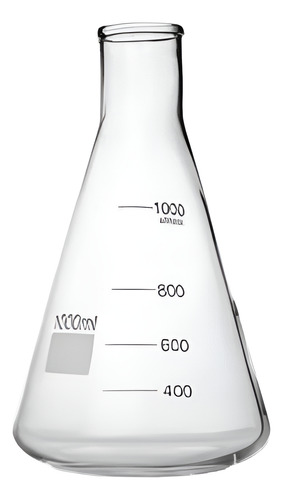 Erlenmeyer 1000 Ml Boro 3.3 Everglass