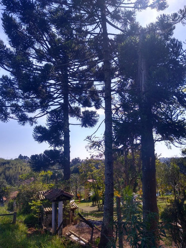 Imagem 14 de 14 de Terreno 5.790 Mts Condomínio Tradicional / Asfalto Na Porta