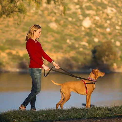 Arnés Halti Front Control. Talla S. Antijalones Para Perros