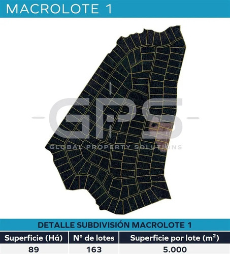 Venta Maullín 600 Há
