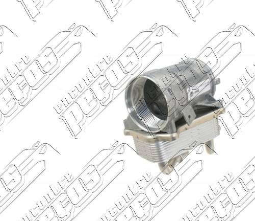 Trocador De Calor Do Óleo Do Motor Mercedes S500 98-05