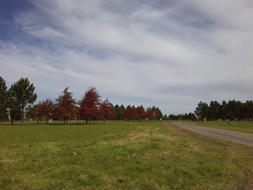 Imagen 11 de 17 de Últimos Lotes En Venta En El Club De Campo Las Hojas