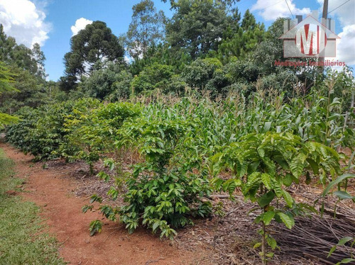 Imagem 24 de 30 de Linda Chácara, Com Ótima Localização, Bem Arborizada, Jardim, Horta, Pomar, Com 3 Dormitórios À Venda, 8500 M² Por R$ 1.000.000 - Tuiuti - Tuiuti/sp - Ch1190