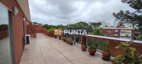 Imagen 2 de 19 de Apartamento Frente A Plaza México De 3 Dormitorios En Venta - Venta Anual