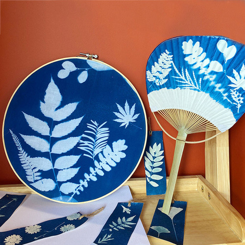 Con Cyanotype Kit Cyanotype Set Crea Un Plano O Una Imagen