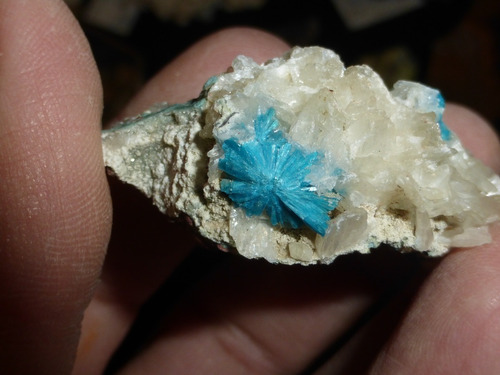 Mineral De Colección Cavansita En Matriz De India