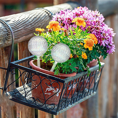 Bombillas De Vidrio Para Riego De Plantas Globos De Riego Au