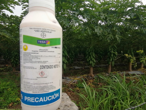 Tega (trifloxystrobin) Bayer 1 Lt Fungicida