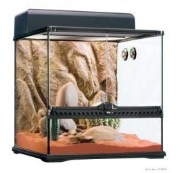 Terrario Exo Terra Desert Grande Reptiles O Anfibios Ndd