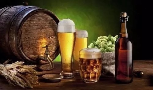 Kit Aprende Hacer Elaborar Cerveza Casa Artesanal Ecologica 