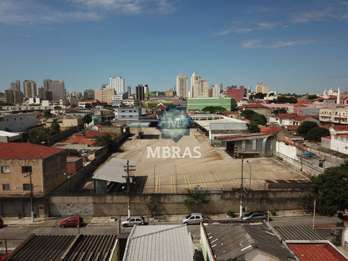 Imagem 13 de 15 de Galpão Comercial - Lapa - Mb8796