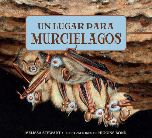 Un Lugar Para Los Murciélagos (a Place For. . .) (spanish 
