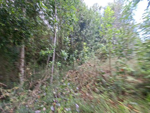 Maravilloso Terreno Con Excelente Conectividad
