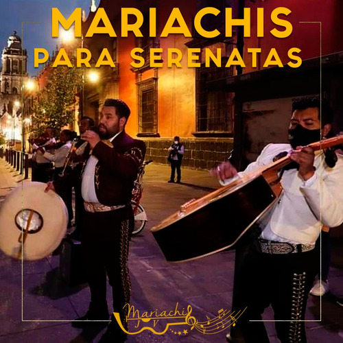 Imagen 4 de 10 de Mariachi Para Fiesta En Cdmx | Mariachis Para Serenatas Cdmx
