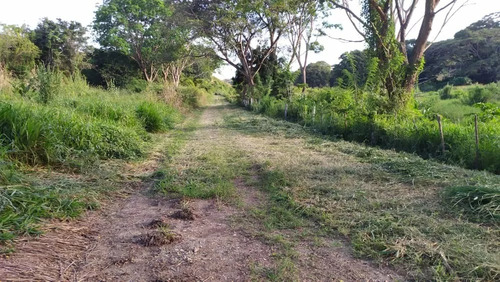 Venta Granja Integral Productiva Avicola Ganadera Y Minera Tinaquillo Edo. Cojedes Negociable Con Financiamiento Jm