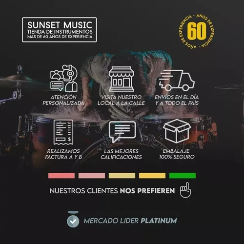 Sx Guitarra Eléctrica Les Paul Ee3s