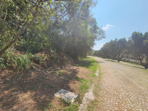 Venta Lote Glorieta 1 Justo En El Acceso Y Cerca De Amenidades Con Proyecto Incluído En Fracc Rancho San Diego Ixtapan De La Sal Edomex