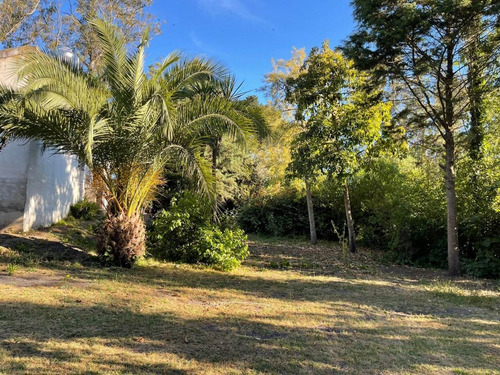 Imagen 7 de 30 de Casa Quinta Sobre Lote De 5.000 M2 La Gloria De La Peregrina
