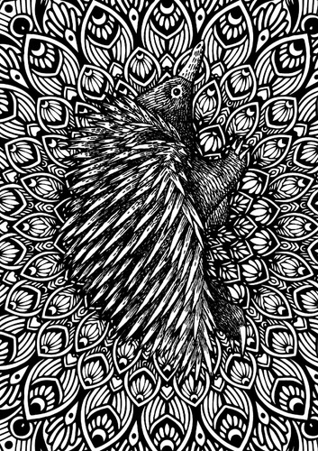 Australian Natives | Libro Anillado Colorear Pintar | Thoc