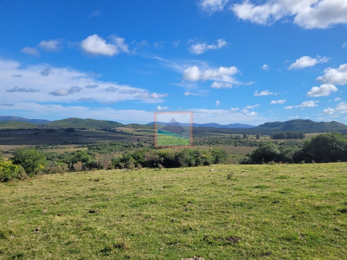 Imagen 11 de 22 de Campo Turístico 145hás En Zona De Pan De Azúcar