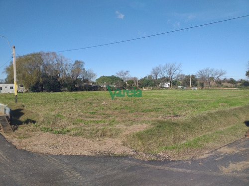 Venta De Terrenos En Lagomar Nuevo Barrio , 