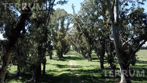 Campo Lote Venta Ruta 6