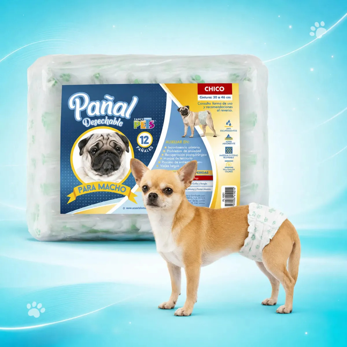Fancy Pets Pañal Desechable Para Perro Macho Talla Chico 30 a 46 cm 12 Piezas Con Polimeros Absorbentes Barrera Antiescurrimientos Material Respirable Y Cinta De Velcro Ajustable
