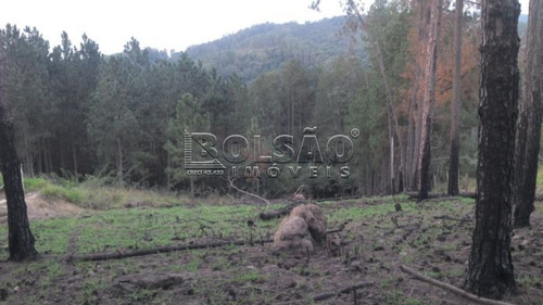 Imagem 4 de 4 de Terreno - Rosario - Ref: 20514 - V-20514