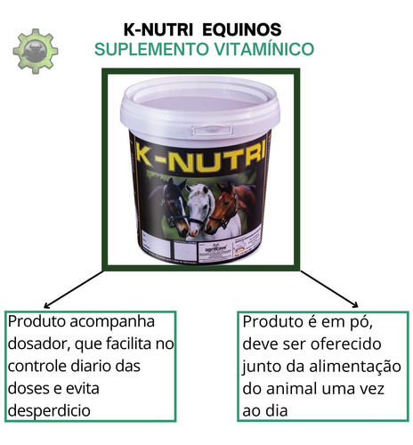 K-nutri Suplemento P Ganho De Massa Muscular C Creatina 10kg