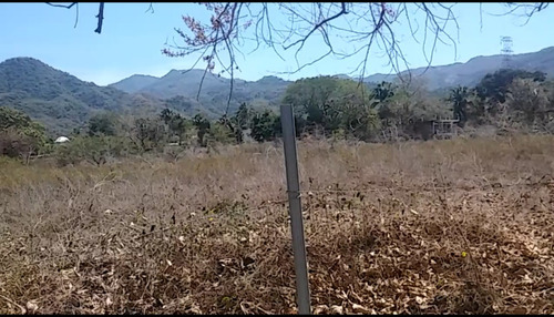 Imagen 3 de 7 de Terreno Rancho Leon