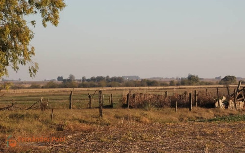 Imagen 13 de 23 de Oportunidad Campo En Zavalla