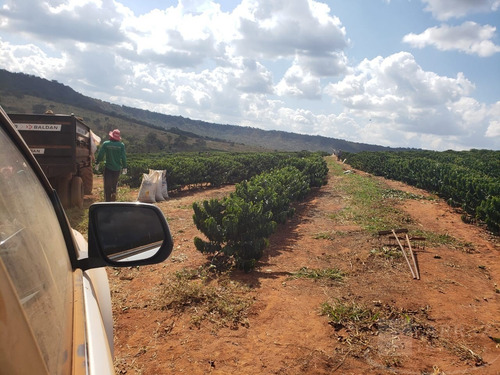Imagem 5 de 5 de Ótima Fazenda Para Venda Na Regiao De Patos De Minas / Pres. Olegario-mg, Com 1.674 Hectares, Café, Pasto, Eucalipto, Casa Sede E Benfeitorias - Fa00277 - 69562047