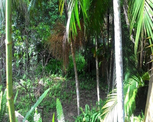Chácara - 0271 - 32820370