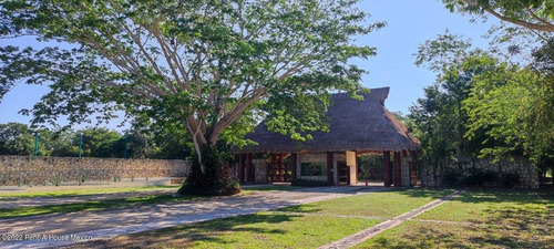 Imagen 11 de 18 de Terreno En Venta En Santa Clara Yucatan Mt 23-2497