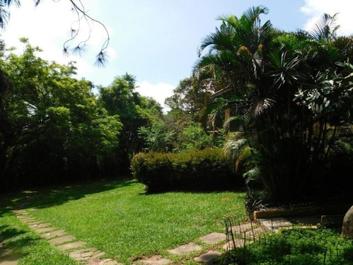 Chácara Comercial Para Locaçao No Parque Centenário. - Ch00068 - 34729569