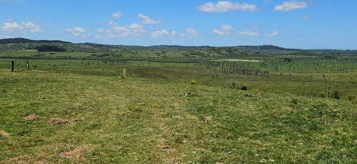 Rocha 277 Has Buen Campo Ganadero Forestal Costa De Arroyo Sobre Camino Vecinal A 10 Km Ruta 9