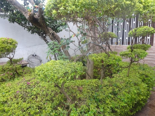 Imagem 4 de 15 de Casa Em Vila Santa Clara - São Paulo - 3867